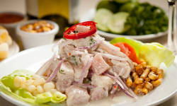 ceviche rutas ceviche rutas